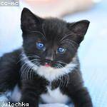 Kody Gulgowski Profile Picture