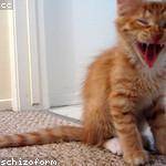 Loren Donnelly Profile Picture