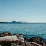 Shanelle Gutmann Profile Picture