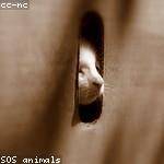 Fatima Davis Profile Picture