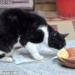 Vesta Willms Profile Picture