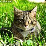 Ines Kessler Profile Picture