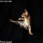 Hulda Nader Profile Picture