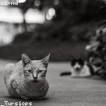 Norbert Tromp Profile Picture