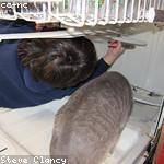 Kurtis Grimes Profile Picture