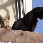 Hailee Sporer Profile Picture