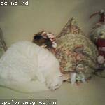 Clarissa Crooks Profile Picture