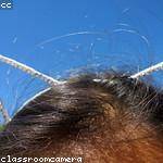 Mallory Ankunding Profile Picture