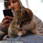 Cassie Lakin Profile Picture