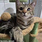 Jean Douglas Profile Picture