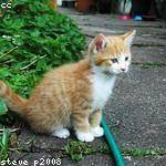 Burdette Greenholt Profile Picture