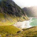 Damaris Goyette Profile Picture