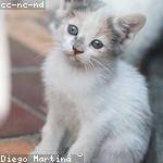 Caden Rutherford Profile Picture