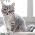 Colby White Profile Picture