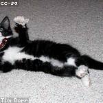 Bruce Klein Profile Picture