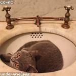 Margret Nicolas Profile Picture