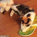 Eugene Schneider Profile Picture