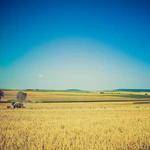 Kristofer Mohr Profile Picture