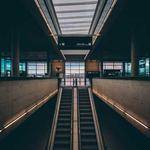 Giovanny Raynor Profile Picture