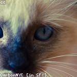 Clare Wintheiser Profile Picture