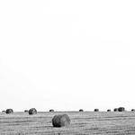 Jalyn Morissette Profile Picture