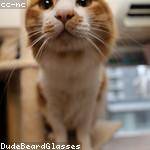 Austen Zulauf Profile Picture