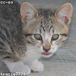 Vicenta Lehner Profile Picture