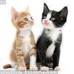 Katheryn Labadie Profile Picture