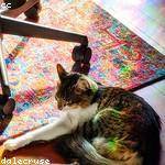 Norene Labadie Profile Picture