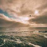 Kira Wisozk Profile Picture