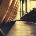 Milan Lakin Profile Picture