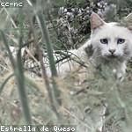 Marcia Langworth Profile Picture