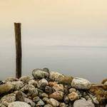 Francesca Kuhic Profile Picture