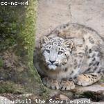 Deshaun Dietrich Profile Picture