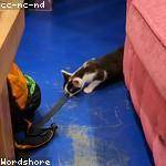 Jess Goldner Profile Picture