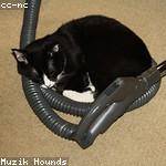 Ilene Kunze Profile Picture