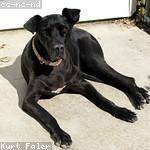 Travon Moore Profile Picture