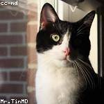 Pascale Goodwin Profile Picture