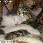 Lourdes Grant Profile Picture