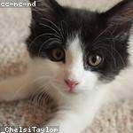 Kelli Kihn Profile Picture