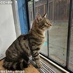 Benjamin Hartmann Profile Picture