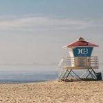 Bernice Rippin Profile Picture