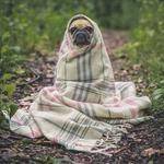 Meredith Heller Profile Picture