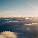 Emmett Braun Profile Picture