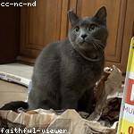 Jedediah Casper Profile Picture