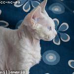 Reta Pouros Profile Picture