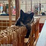 Marques Marvin Profile Picture