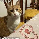 Dolores Borer Profile Picture