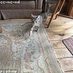 Syble Murray Profile Picture