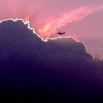 Vernice Feest Profile Picture